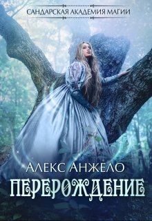 Сандарская академия магии. Перерождение, Алекс Анжело