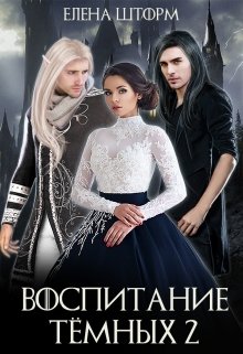 Воспитание тёмных. Книга 2, Елена Шторм