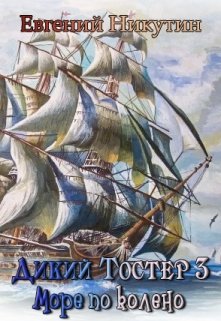 Дикий Тостер 2. Море по колено., Евгений Никутин