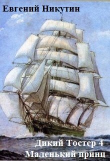 Дикий Тостер 3. Маленький принц., Евгений Никутин