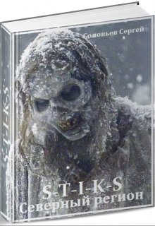S-T-I-K-S Северный регион, Сергей Соловьев