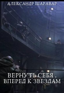 Вернуть себя. Вперед к звездам. Том 0, Александр Setroi Шаравар