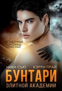 Бунтари элитной академии, Ники Сью