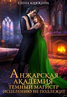Анжарская академия. Темный магистр исцелению не подлежит, Елена Княжина