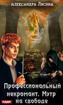Профессиональный некромант. Книга 3. Мэтр на свободе, ИДДК