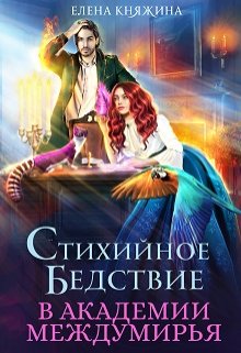 Стихийное бедствие в Академии Междумирья, Елена Княжина