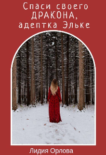 Спаси своего дракона, адептка Эльке, Лидия Орлова