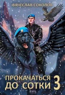 Прокачаться до сотки 3, Вячеслав Соколов