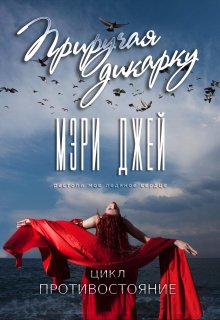 Приручая Дикарку, Мэри Джей (Mary J)