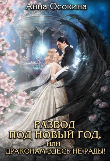 Развод под Новый год, или Драконам здесь не рады!, Анна Осокина