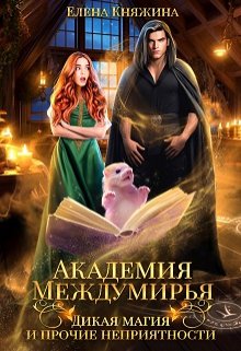Академия Междумирья. Дикая магия и прочие неприятности, Елена Княжина