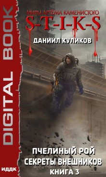 Миры Артёма Каменистого. S-T-I-K-S. Пчелиный Рой. Книга 3. Секреты внешников, ИДДК