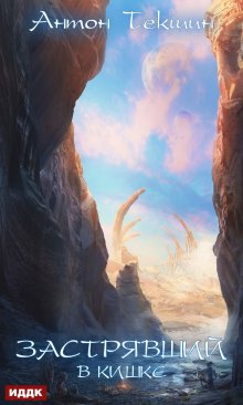 Застрявший. Книга 3. Застрявший в Кишке, ИДДК