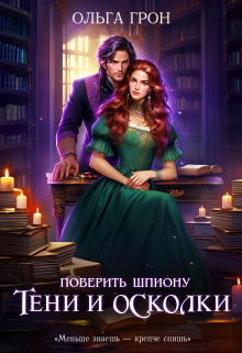Поверить шпиону. Тени и осколки, Ольга Грон