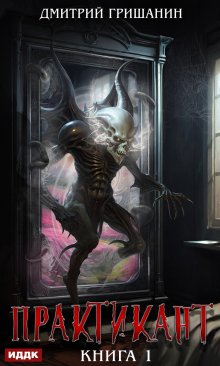 Практикант. Книга 1, ИДДК