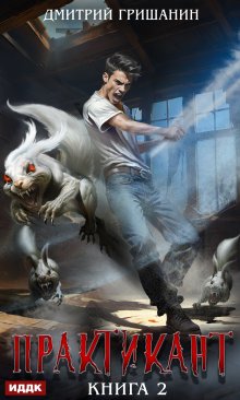Практикант. Книга 2, ИДДК