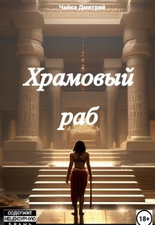 Меня зовут Заратуштра I. Храмовый раб, Чайка Дмитрий