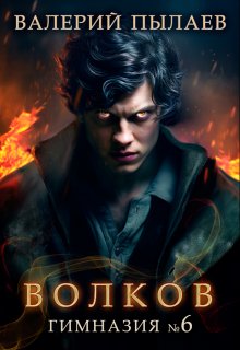 Волков. Гимназия №6, Валерий Пылаев