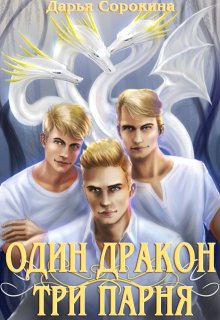 Один дракон — три парня, Дарья Сорокина