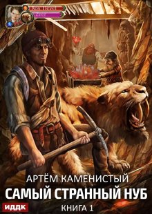 Самый странный нуб. Книга 1, ИДДК