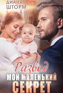 Развод. Мой маленький секрет, Диана Шторм
