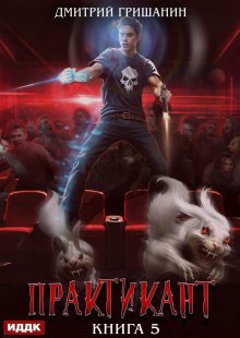 Практикант. Книга 5, ИДДК