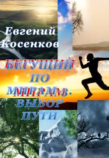 Бегущий по мирам-3. Выбор пути, Евгений Косенков (Sib333)